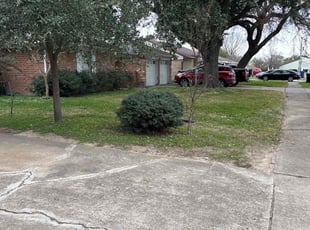 Lee B.'s Cleanup service result