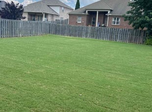 Cathy S.'s grass maintenance service result