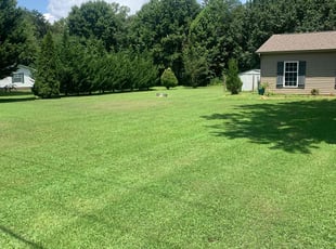 Carolynn P.'s lawn care services service result