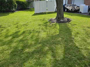 Kevin B.'s yard work service result