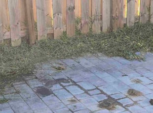 Ayana P.'s lawn care services service result