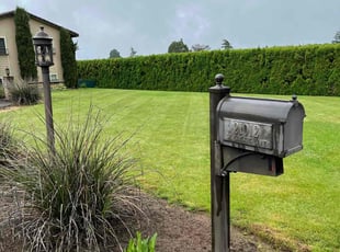 Jerry G.'s lawn maintenance service result