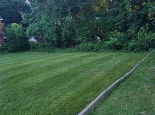 Jennifer B.'s lawn maintenance service result