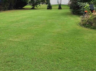 Julien F.'s lawn care service result
