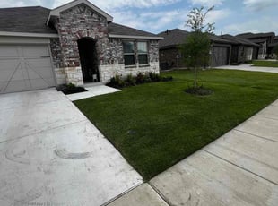 Mark L.'s turf maintenance service result