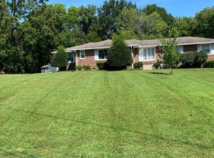 Marlo B.'s turf care service result