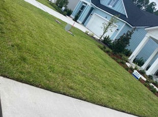 Sunshine M.'s grass cutting service result