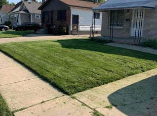 Lastarr C.'s lawn care services service result