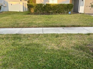 Matthew W.'s grass maintenance service result