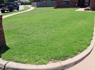 Tom P.'s lawn maintenance service result