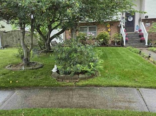 Nicole R.'s grass maintenance service result