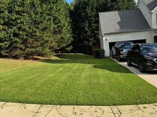 Ann L.'s lawn care service result