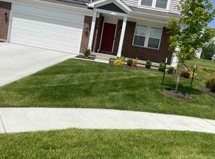 Zach B.'s turf care service result