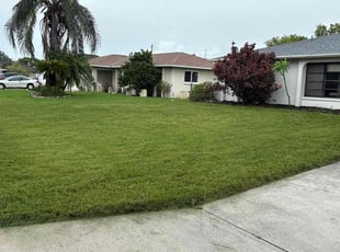 Alisa D.'s turf maintenance service result