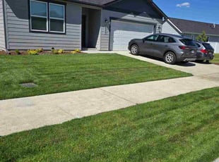 Walter J.'s lawn care service result