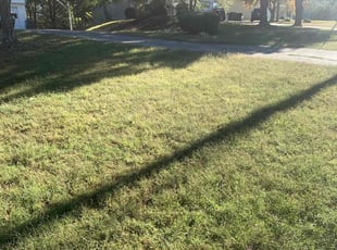 Josh E.'s Bush Trimming service result