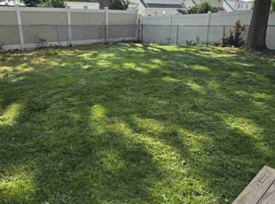 Sharon R.'s lawn care service result