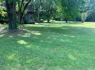 Ivy F.'s lawn care services service result