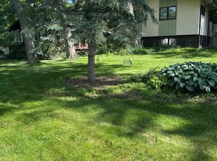 Kalid H.'s lawn care service result