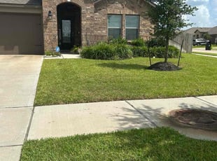 Jeannate S.'s lawn care service result