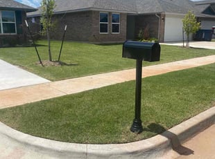 Sandy C.'s lawn maintenance service result