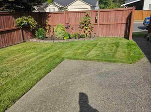 Skyla S.'s grass maintenance service result