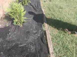 Andy B.'s Mulching service result