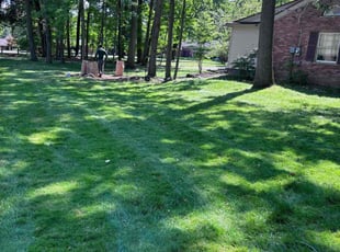 Lester H.'s grass cutting service result