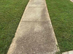 Katie F.'s turf care service result