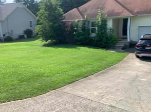 Arika K.'s grass cutting service result