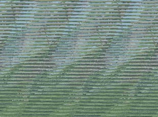 Maria F.'s grass cutting service result