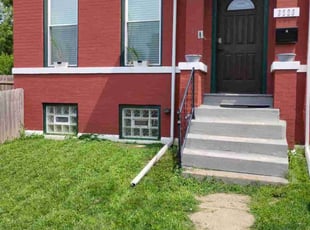 Holly D.'s turf care service result