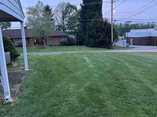 Joel T.'s turf care service result