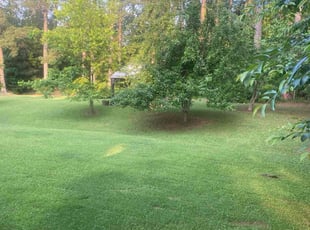 Faye T.'s lawn maintenance service result