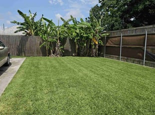 Luis G.'s lawn service service result