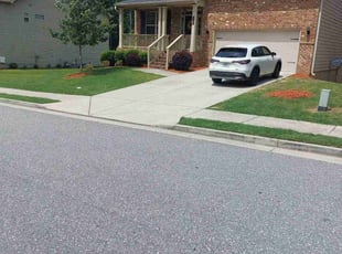 Carrie B.'s lawn maintenance service result