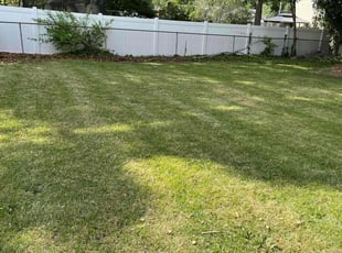Travis L.'s lawn service service result