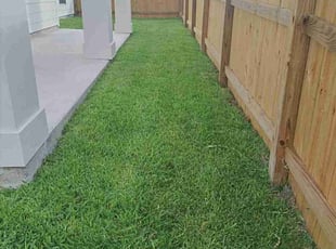 Brad S.'s grass maintenance service result