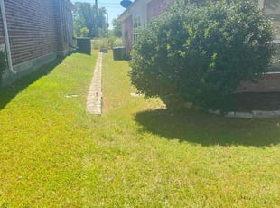 Deborah R.'s turf maintenance service result