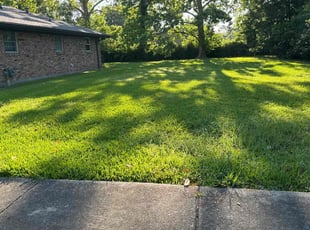 Cheryl H.'s lawn service service result