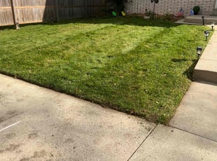Scott W.'s lawn care services service result