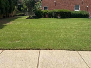 Nadja C.'s lawn maintenance service result