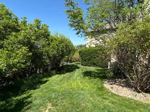 Queen W.'s lawn care service result