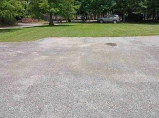 Cassandra M.'s turf care service result