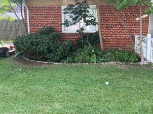 Gladys R.'s Bush Trimming service result