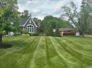 Hanan E.'s grass cutting service result