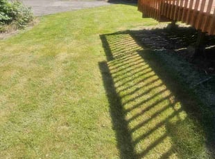 Lee M.'s turf care service result