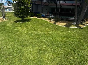 Erika K.'s grass maintenance service result