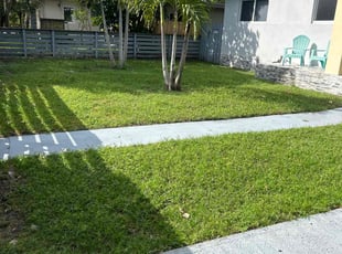 Krystal C.'s grass cutting service result