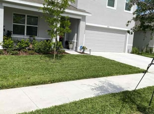 Steve P.'s lawn service service result